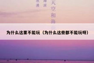 为什么这里不能玩（为什么这些都不能玩呀）
