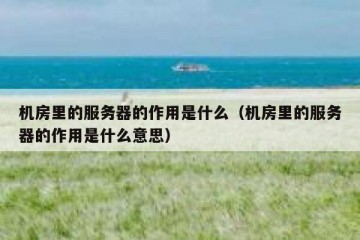 机房里的服务器的作用是什么（机房里的服务器的作用是什么意思）