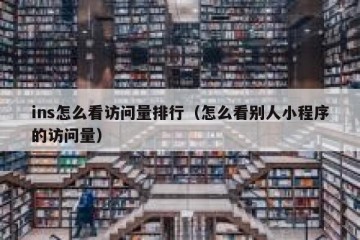 ins怎么看访问量排行（怎么看别人小程序的访问量）