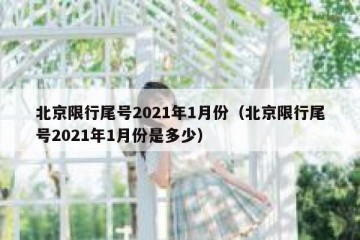 北京限行尾号2021年1月份（北京限行尾号2021年1月份是多少）