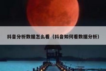 抖音分析数据怎么看（抖音如何看数据分析）