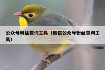 公众号粉丝查询工具（微信公众号粉丝查询工具）