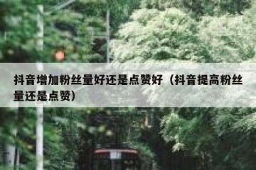 抖音增加粉丝量好还是点赞好（抖音提高粉丝量还是点赞）