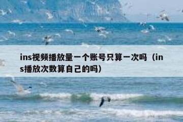 ins视频播放量一个账号只算一次吗（ins播放次数算自己的吗）