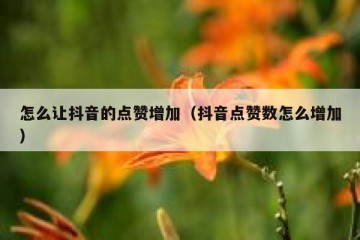 怎么让抖音的点赞增加（抖音点赞数怎么增加）