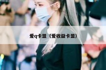 爱q卡盟（爱收益卡盟）