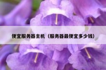 便宜服务器主机（服务器最便宜多少钱）