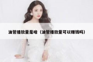 油管播放量是啥（油管播放量可以赚钱吗）