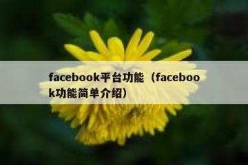 facebook平台功能（facebook功能简单介绍）