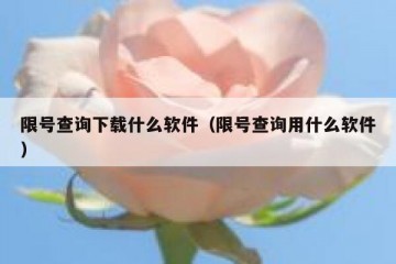 限号查询下载什么软件（限号查询用什么软件）