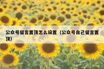 公众号留言置顶怎么设置（公众号自己留言置顶）