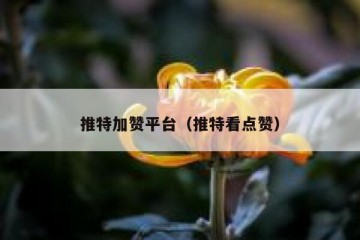推特加赞平台（推特看点赞）