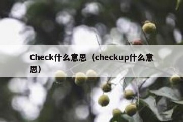 Check什么意思（checkup什么意思）