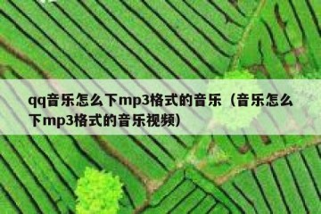 qq音乐怎么下mp3格式的音乐（音乐怎么下mp3格式的音乐视频）