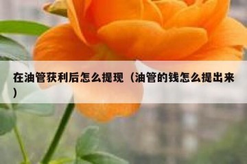 在油管获利后怎么提现（油管的钱怎么提出来）