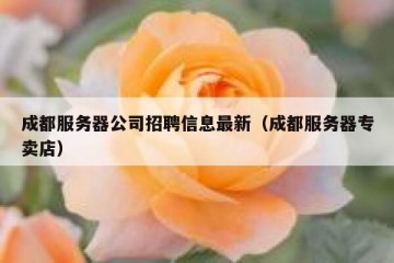 成都服务器公司招聘信息最新（成都服务器专卖店）