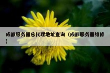 成都服务器总代理地址查询（成都服务器维修）