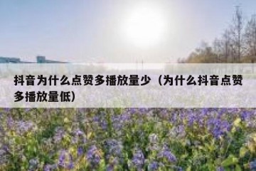 抖音为什么点赞多播放量少（为什么抖音点赞多播放量低）