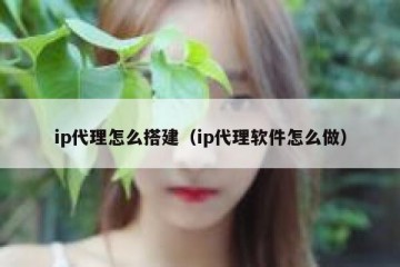 ip代理怎么搭建（ip代理软件怎么做）