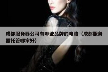 成都服务器公司有哪些品牌的电脑（成都服务器托管哪家好）