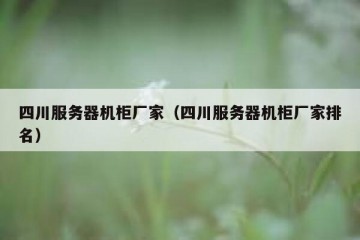 四川服务器机柜厂家（四川服务器机柜厂家排名）