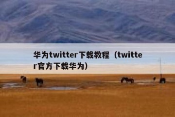 华为twitter下载教程（twitter官方下载华为）