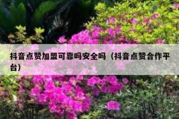抖音点赞加盟可靠吗安全吗（抖音点赞合作平台）