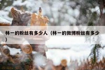 林一的粉丝有多少人（林一的微博粉丝有多少）