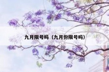 九月限号吗（九月份限号吗）