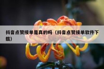 抖音点赞接单是真的吗（抖音点赞接单软件下载）