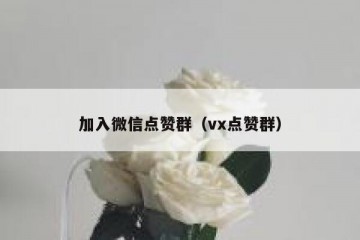 加入微信点赞群（vx点赞群）
