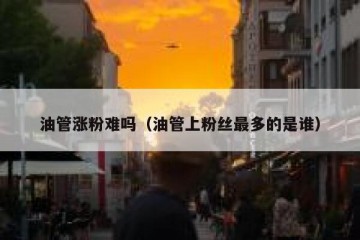 油管涨粉难吗（油管上粉丝最多的是谁）