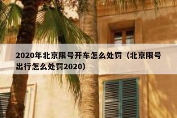2020年北京限号开车怎么处罚（北京限号出行怎么处罚2020）