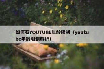 如何看YOUTUBE年龄限制（youtube年龄限制解析）