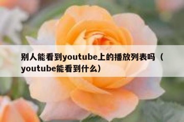 别人能看到youtube上的播放列表吗（youtube能看到什么）
