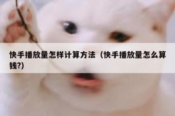 快手播放量怎样计算方法（快手播放量怎么算钱?）