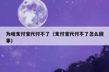 为啥支付宝代付不了（支付宝代付不了怎么回事）