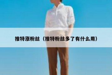 推特涨粉丝（推特粉丝多了有什么用）
