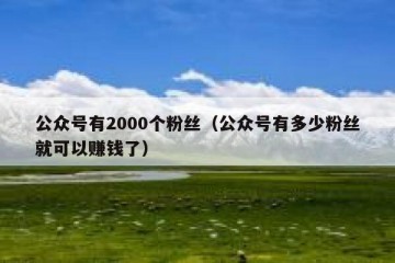 公众号有2000个粉丝（公众号有多少粉丝就可以赚钱了）