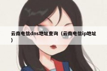 云南电信dns地址查询（云南电信ip地址）