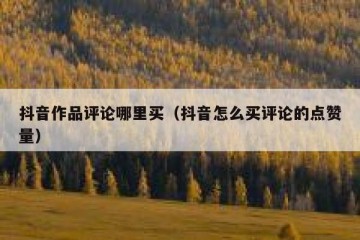 抖音作品评论哪里买（抖音怎么买评论的点赞量）