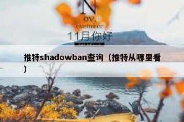 推特shadowban查询（推特从哪里看）