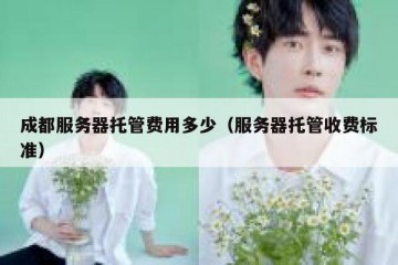 成都服务器托管费用多少（服务器托管收费标准）
