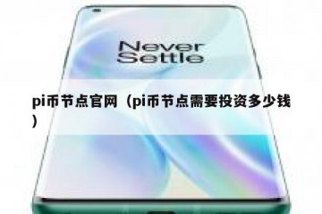 pi币节点官网（pi币节点需要投资多少钱）