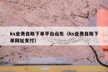 ks业务自助下单平台山东（ks业务自助下单网址支付）