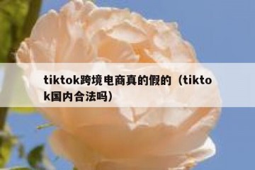 tiktok跨境电商真的假的（tiktok国内合法吗）