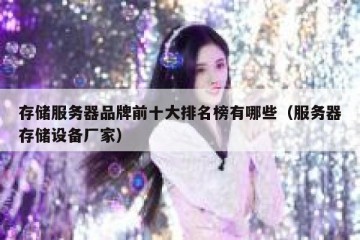 存储服务器品牌前十大排名榜有哪些（服务器存储设备厂家）