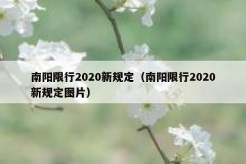南阳限行2020新规定（南阳限行2020新规定图片）