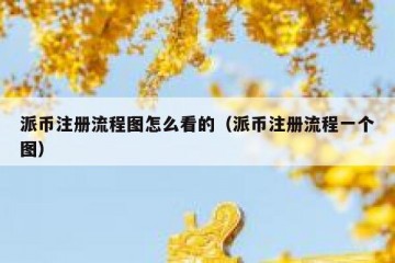 派币注册流程图怎么看的（派币注册流程一个图）