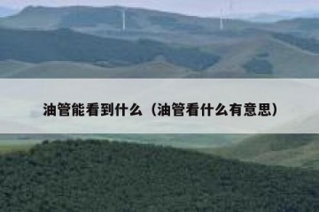 油管能看到什么（油管看什么有意思）